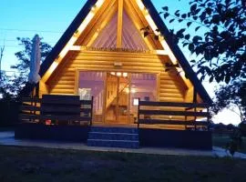 Brvnara kao na dlanu 2