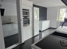 Luxury Apartment