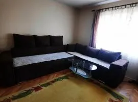 Kuća za izdavanje Guča