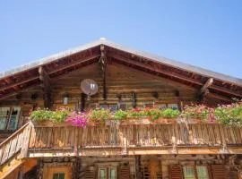 Cosy Chalet in Brig-Glis