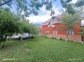 Sheki Dream House