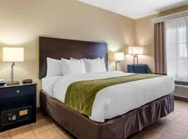 Comfort Inn & Suites Scott-West Lafayette