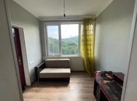 Mukha