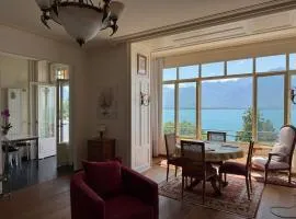 Panoramic view lake