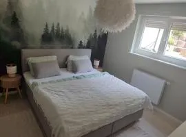 Moderne 90 m2 Wohnung nahe Straẞburg, Europa-Park und Schwarzwald
