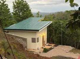 The Jungle Chalet