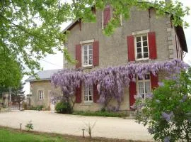Les Vieilles Vignes