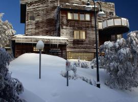 维多利亚滑雪俱乐部 - 坎德哈山林小屋，位于布勒山的山林小屋