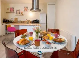 Lyon funky flat piscine et parking