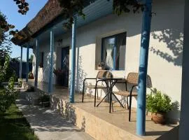 Casa lui Matei Murighiol#2