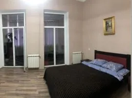Downtown Cozy Apartment
