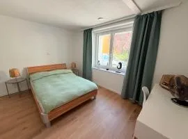Ferienwohnung in Merzig City an der Saar