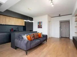 N31 Pipera Executive Apartment