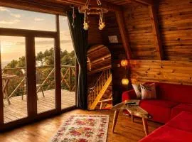 Emis Pure Bungalov & Dağ Evi