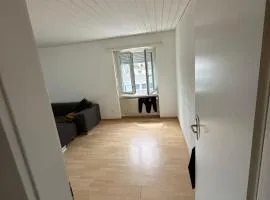 Iuli house