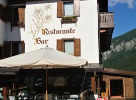 Albergo Stella Alpina，位于圣皮耶特罗迪卡多雷的酒店
