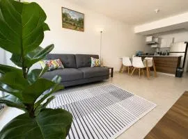 Modern Apt Near Historic Center & Airport