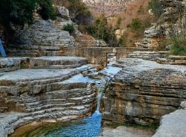 阿孔提科格吉1876旅馆，位于帕皮康的酒店