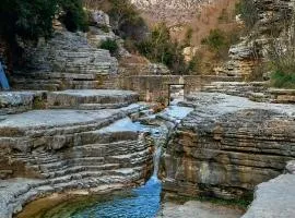 阿孔提科格吉1876旅馆