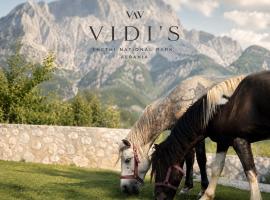 Vidis Chalet Boutique Hotel,位于泰斯的酒店