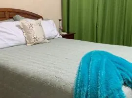 The Cozy Haven Bed and Breakfast