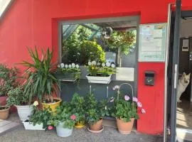 F1里昂圣牧师酒店