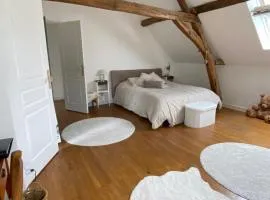 Les chambres PAJ