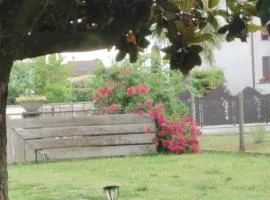 Room Bed Garden
