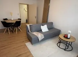 Lovely cozy apartment close to Saarbrücken