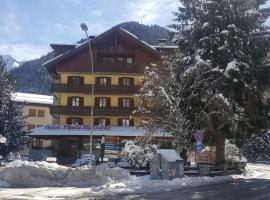 Hotel Pineta,位于蓬泰迪莱尼奥的酒店