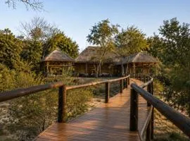 莫迪特洛河山林小屋
