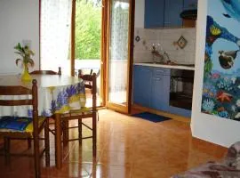Apartments and Rooms Suzana
