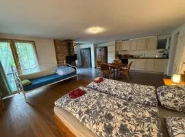 Cozy apartment in Alpendorf, Interlaken region