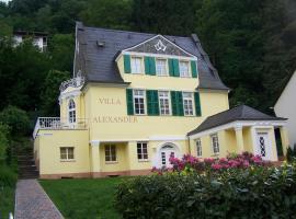 Ferienwohnung "Villa Alexander" 4 DTV-Sternen Neu Eröffnung，位于巴特埃姆斯的酒店