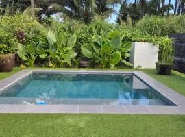 Warm & Peaceful Studio in Taravao