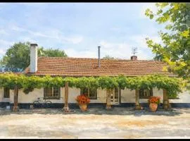 Quinta do Archino 18
