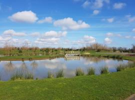 Sycamore Farm Park，位于Burgh le Marsh的露营地