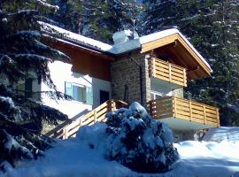 Chalet Villa Bianca，位于泰塞罗的酒店