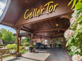Hotel Celler Tor，位于策勒的酒店