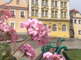 Hotel Sumava，位于Horšovský Týn的酒店