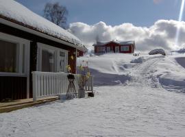 佩客内小屋公寓，位于穆奥尼奥的滑雪度假村