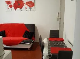 Appartement Le Cernuschi 2C