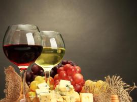 Marina Hotel Stellendam，位于斯泰伦丹的酒店