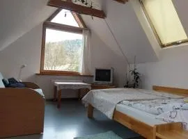 Apartamencik z Widokiem Na Giewont