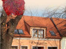 Penzion na Potočnej，位于斯卡利察的度假短租房