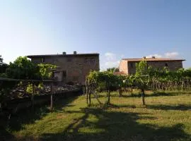 Agriturismo Scorgiano