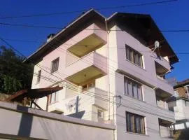 Vitosha Guest House