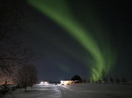 Höfði Cottages，位于达尔维克的酒店