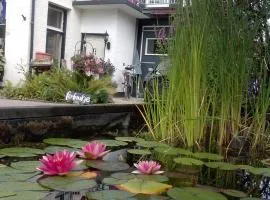 比鲍克伊住宿&早餐旅馆