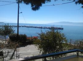 伊利亚提德公寓酒店，位于阿马林索斯的酒店